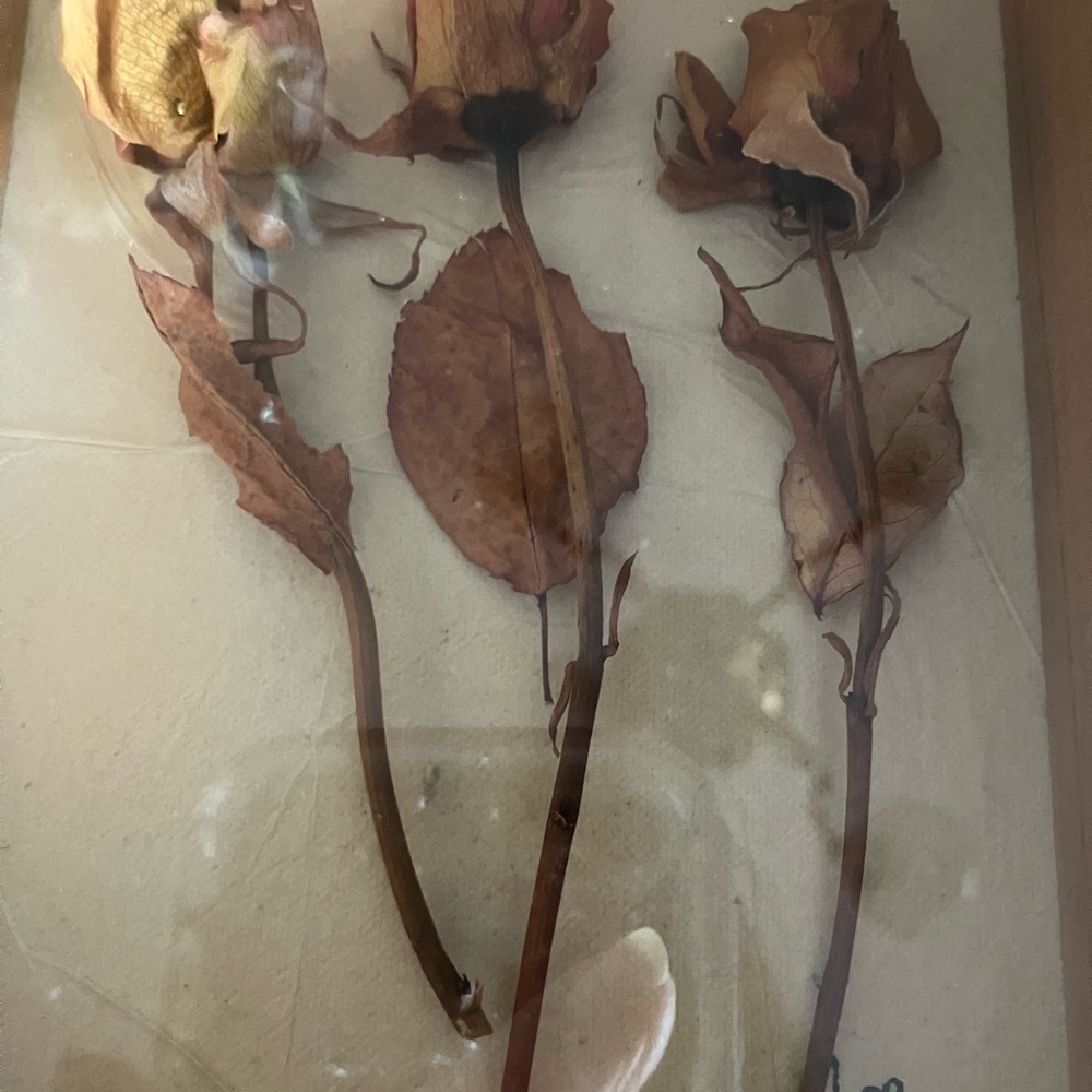 Natural Wood Shadow Box with Dried Roses signed by the artist - Picture 3 of 9